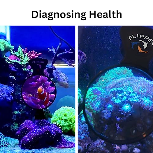 Flipper DeepSee Aquarium Magnifier Magnetic Viewer, Orange Filter Lens & Rechargeable LED Spotlights – Fish Tank Magnifying Glass – Flipper Fish Tank Accessories, 5"