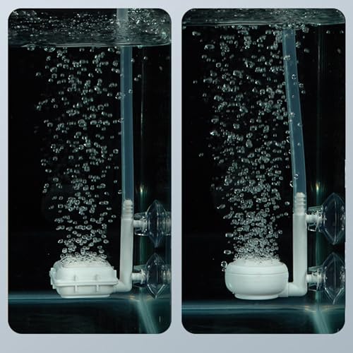 Aquarium Air Stone Disc, Tiny Fish Air Stone Ultra-High Dissolved Bubbler Airstone Bucket Diffuser Makes Super Tiny for Aquarium Fish and Small - color: Rose, size: round