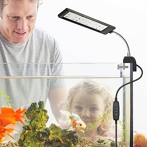 DaToo Aquarium Light Small LED Clip Light for Fish Tank 7W with Timer&Dimmer, 1 Yr Warranty - size: 7W (With Timer & Dimmer)