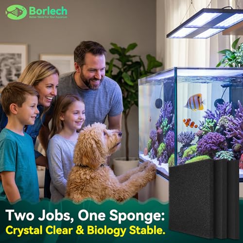 Borlech Aquarium Bio Filter Sponge Pad - Cut-to-Size Aquarium Filter Media for Fish Tank, Pond, Sump - Mechanical & Biological Filtration (18.5"x18.5"x1.6", 20PPI, 2 Pack) - size: 18.5"x18.5"x1.6" (20PPI) 2 PACK