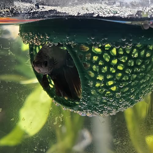 Floating Betta Hide & Shrimp Cave – 3D Printed Aquarium Hammock, Feeding Ring & Resting Spot for Betta Fish, Shrimp & Small Fish (Eco-Safe PLA) - color: Blue