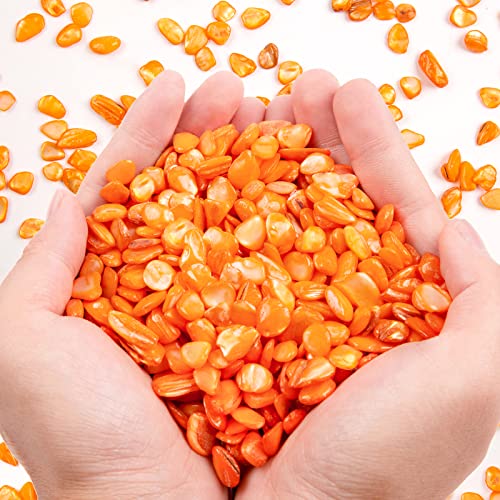 QICQDRAM Crushed Shells for Crafts About 1LB (405g/14.28oz) Small Natural Crushed Shells Bulk for Crafts DIY Beaching Wedding Decoration Vase Fillers (Orange) - color: Orange, size: 1LB (405g/14.28oz)