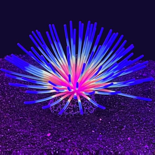 Glowing Sea Urchin Aquarium Decor - Fluorescent Rainbow Ornament with Weighted Base for Fish Tank, Safe Soft Silicone, Freshwater & Saltwater, Vibrant Glow Under Blue Light (Blue) - color: Blue
