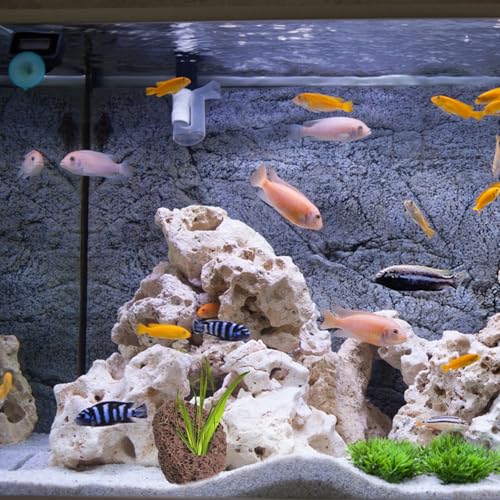 Yardwe Aquarium Rocks Volcanic Rocks 6Pcs Decorative Rocks Fish Tank Aquarium Landscape Ornaments (Random Color)