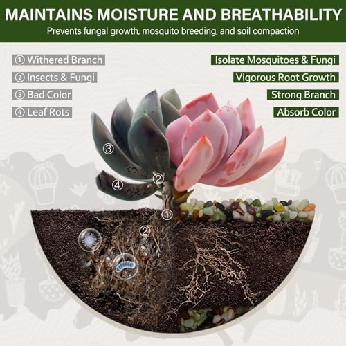 NUPICK 3 lbs Pebbles for Indoor Plants, 1/5 Inch Pea Gravel for Fish Tank, Polished Decorative Rocks for Succulent, Natural River Stones for Vases, Cactus, Landscaping, Bird Bath, Aquarium, Colorful - color: Colorful, size: 3 lb