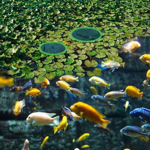 Jeffdad 5pcs Aquarium Floating Plant Rings, Foam Floaters Plant Corral Fish Feeding Ring Aquarium Feeding Ring, for Intercepts Floating Plants(Green)
