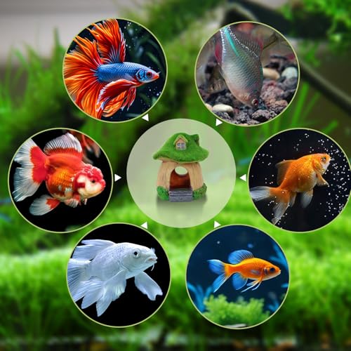 WishLotus Mushroom Fish Tank Accessories, Resin Aquarium Decorations with Hollow Hole Fishtank Decorations for Shrimp Betta Betta Fishtank Accessories for Resting Playing Hiding (Fat Mushroom)