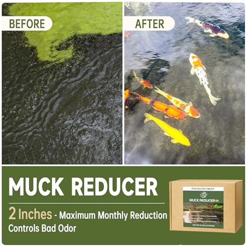 LMJP Muck Reducer - 15LB Natural Sludge Solution Tablets for Ponds & Lakes, Away Muck & Odor Control, Safe for Aquatic Life, Wildlife & Recreation, Treats Up to 90,000 Sq Ft - size: 15 Pounds