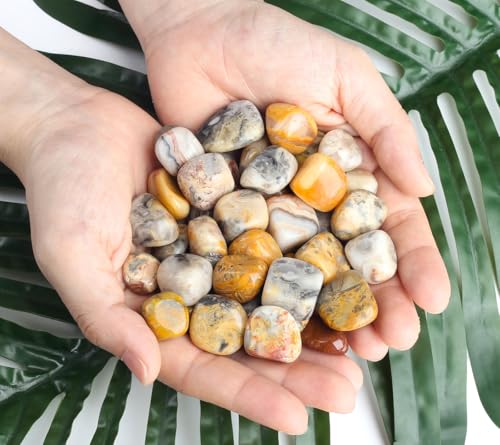 DUQGUHO Crazy Lace Agate Crystals Healing Crystal Stones Set Natural Crystals Bulk Irregular Stones 0.45 lbs - color: Crazy Lace Agate