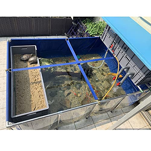PVC Canvas & Steel Pipe Frame, Large Aquarium Pool Pond for Fish & Aquatic Pets, Transparent Viewing Window Panel, Easily Assembled(150x100x61cm) - size: 150x100x61cm
