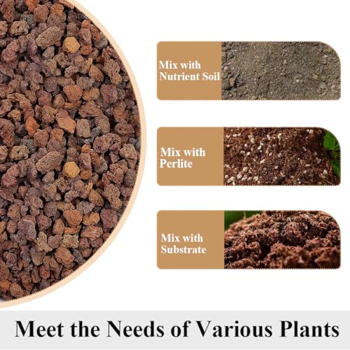 YISZM Red Horticultural Lava Rocks for Plants, 10 lb Succulents Cactus Bonsai Soil Lava Rocks for Aquarium Outdoor Decorative Stones for Craft Projects, Vase Fillers - color: Red Lava Rock, size: 10 Pounds