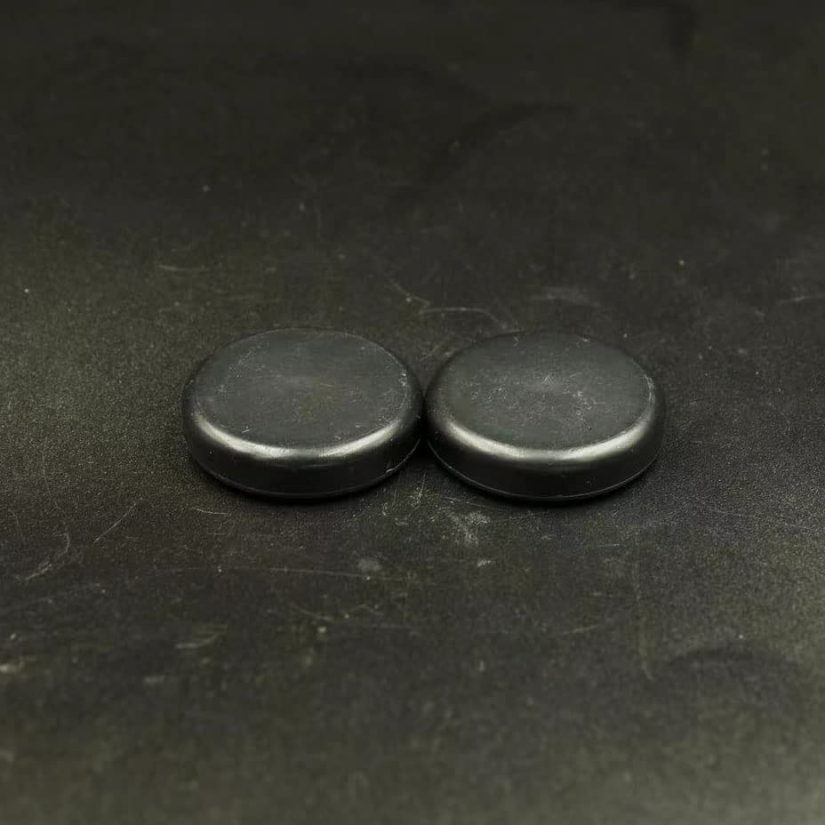 n52 Heavy Duty Aquarium Magnet, Strong Neodymium Waterproof Magnets with Plastic-Coated, Rare Earth Magnets for Fish Tank Breeder or DIY Cleaning Brush - color: 2 pcs big