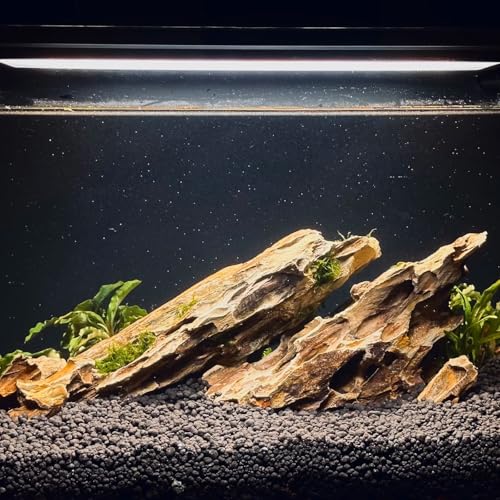 Dragon Rocks Aquariums Stones Natural Rocks for Aquascaping, Aquariums, Terrariums, Vivariums Decorative Stone,Reptile Enclosures,Paludariums,and Gardens-10lb（2 to 7 inch） - size: 10Lb (2-7 inch)