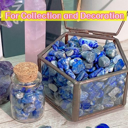 YATOJUZI Lapis Lazuli 1LB Aquarium Gravel Rocks Bulk Wholesale Tumbled Crystals Stones Chips Crushed Reiki Energy Balancing Gemstones for Planters Vase Filler Fountain Fish Tank Potted Decor - color: Lapis Lazuli, size: 1 Pound