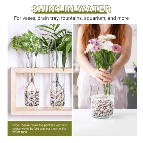 NUPICK 3 lbs Pebbles for Indoor Plants, 1/5 Inch Pea Gravel for Fish Tank, Polished Decorative Rocks for Succulent, Natural River Stones for Vases, Cactus, Landscaping, Bird Bath, Colorful Mixed - color: Colorful Mixed, size: 3 lb