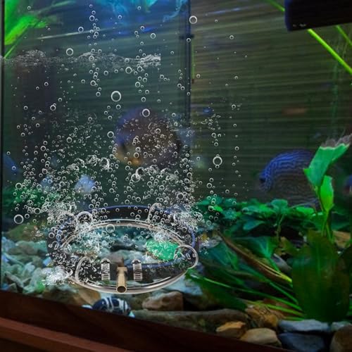 Gadpiparty Stainless Steel Pond Air Diffuser Ring 15cm Round Bubble Stone Oxygen Bubbler for Aquarium Fish Tank Indoor Outdoor Fish Pond