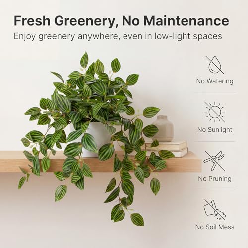 Briful Artificial Plants Indoor Fake Potted Silk Plants Faux Watermelon Peperomia Draping Plant for Home Office Bathroom Shelf Cabinet Tabletop Decoration(Green - 1 Pack) - color: Green Style#1