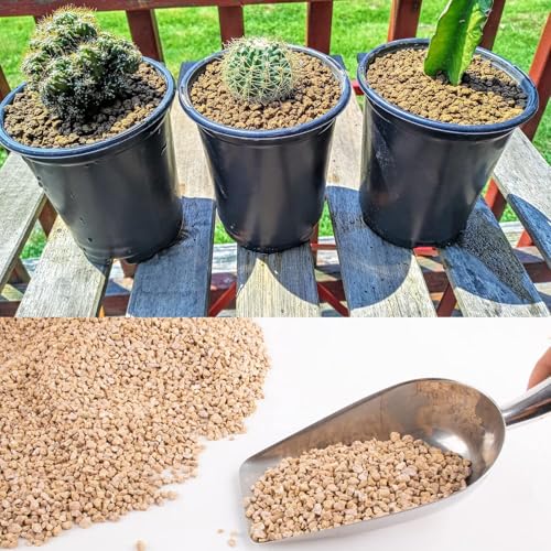 45lb Maifanitum Stones for Succulent Cactus Bonsai Decorative Rocks-Indoor Plants Soil Covers,Horticultural Gravel, Potting Pebbles for Terrarium, Fairy Gardening, Top Dressing - color: Maifanitum Stones, size: 45lb