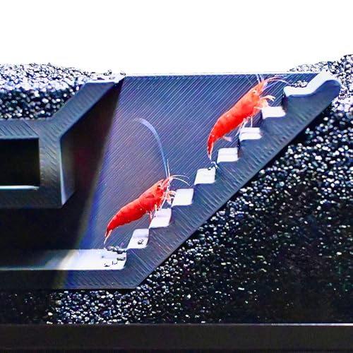 Lucky Critter Shrimp Cave Underground Maze Tunnel | Viewing Shrimp Freshwater Hide Tunnel | Aquarium Shrimp Breeding Cave Perfect for Small Shrimp, Cherry Shrimp, Dwarf Shrimp - color: Black