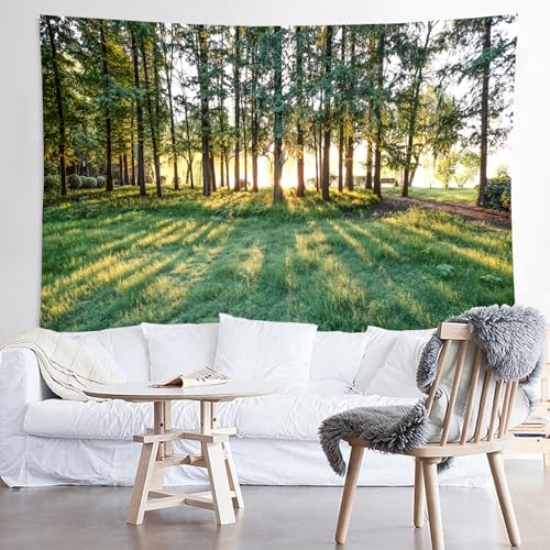 WODEJIA Sunrise Forest Tapestry, Green Trees Sunlight Landscape Wall Hanging, Nature Park Scenery Tapestries for Living Room Dorm, Large Aesthetic Wilderness Wall Art Decor Gift（79"x59"inches） - color: Sunrise Forest, size: 79"L x 59"W