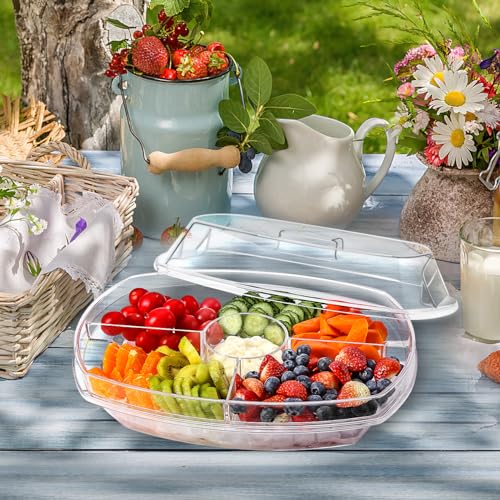 IVYHOME Fruit Ice Serving Tray, Chilled Veggie Tray, Shrimp Cocktail Serving Dish, Appetizer Serving Platter for Parties, with Lid and 4 Compartments