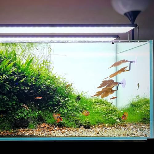 Betta Fish Hammock - Dual Leaf Design with Strong Suction Cups, Non-Toxic Durable Material for Spawning & Resting, Natural Aquarium Decor for Beta Fish Tanks (Orange, 3) - color: Orange, size: 3