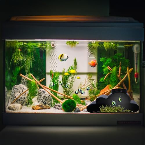 Reptile Cave Hide for Hognose Snake, Leopard Gecko, Corn Snake – Humid Hideout with Viewing Window – Tank Enrichment Accessory for Climbing, Hiding, Egg Laying – Safe Plastic Reptile Decor - color: Curve Tunnel Black