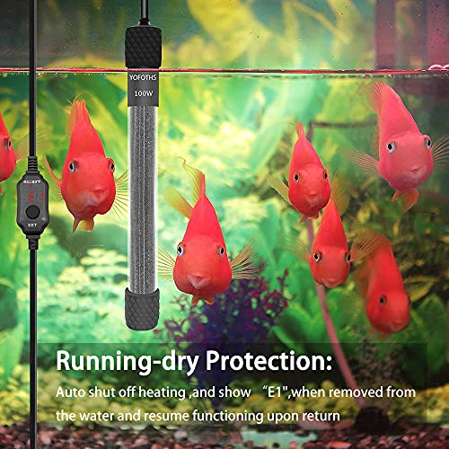 YOFOTHS Adjustable Mini Aquarium Heater 10-20 Gallons Submersible Small Fish Tank Heater 100W Digital Display Thermostat External Temperature Controller (100W) - size: 100W