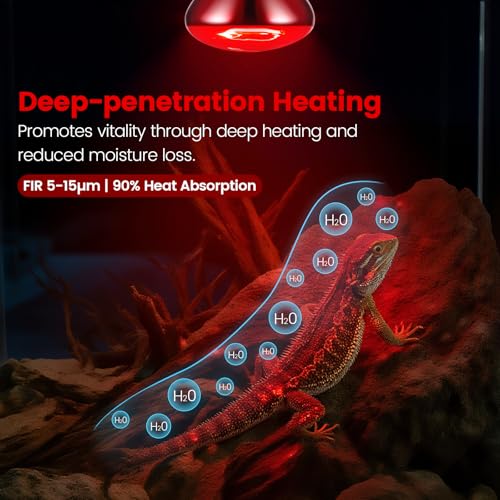 REPTITRIP Dual Reptile Lamp Fixture with 100W Daytime Heat & 100W Nighttime Infrared Heat Bulbs, 2 Independent Switches, Reptile Heat Lamp Combo Pack - No UVB - size: ST2