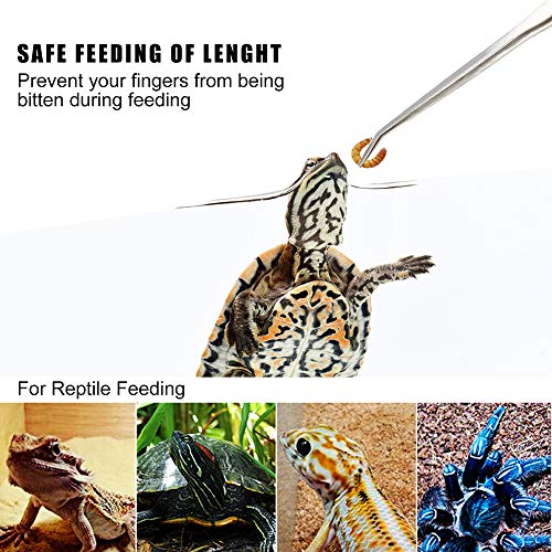 Longjet Kitchen Tongs Metal Tweezers for Cooking - Reptile Feeding Tongs for Gecko, Bearded Dragon, Snake - Long Forceps for Aquarium Plant - color: Silvery-10.5"/2pcs