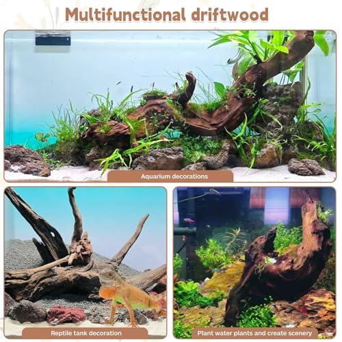 PINVNBY Natural Driftwood for Aquarium Decor Fish Tank Decorations Reptile Decor Driftwood Decor, 3 Pieces 7"-11" Assorted Driftwood Branch - size: L: Mopani Driftwood (7-13 inches/3 Pack）