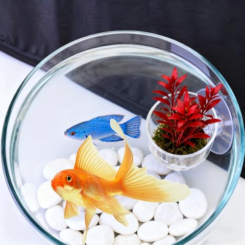 1Pcs Acrylic Transparent Aquatic Plant Cup with Suction Holder Mini Fish Tank Worm Feeder Aquarium Decoration Tool (Small,3.5 * 5 * 4cm) - color: Small,3.5*5*4cm