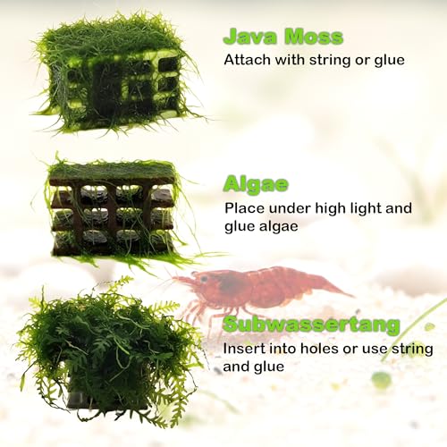 CTWPets 3 Pack Shrimp Block, Aquarium Nano Hiding Block, Grazing Platform, Cherry Shrimp Breeding Block Mix Random Color (Pastel Mix)