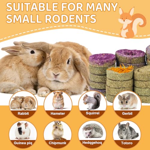 VESPRO 30PCS Guinea Pig Hay Food Natural Rabbit Chew Toys for Teeth，Hamster Toys, Bunny Chew Toys Timothy Hay Treats for Rabbits Chinchillas Rats, Small Animals Teeth Grinding - size: 1 Count (Pack of 30)