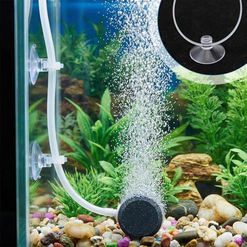 50 Pcs Suction Cup Clips,25mm Aquarium Suction Cups for Tubing,Aquarium Suctions Cup Clips and 50 PCS Adjustable for Air Tubes, Moss, Fish and Shrimp Nests, Plants