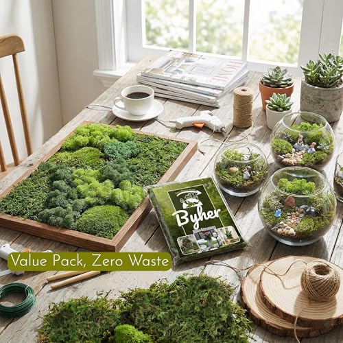 BYHER Fake Moss 4OZ - Moss for Crafts and Indoor Plants, Realistic Artificial Green Grass for Fairy Garden, DIY Projects, Potted Plants, Table Centerpieces, Wedding Decor (Realistic Green)