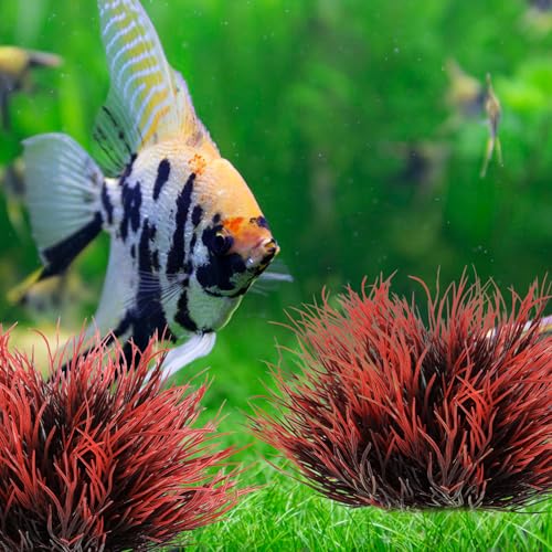 2 Pcs Aquarium Plants Fish Tank Decorations Artificial Fish Tank Plants Plastic Mini Grass Set Natural Style Tanks Accessories (Black Red) - color: Black Red