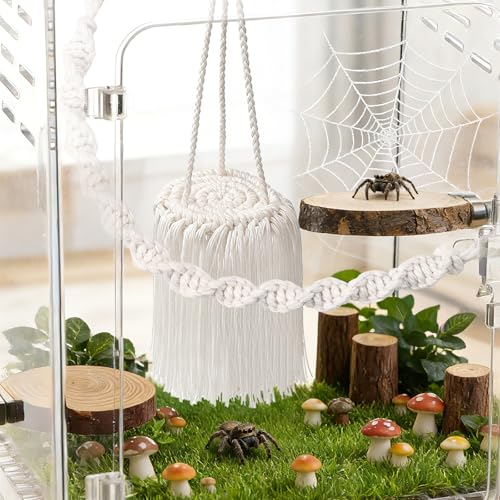 Jumping Spider Accessories – 2 Pack Handmade Natural Jute Rope Bridge Swings, Magnetic Mount Jumping Spider Enclosure Decor for Medium Enclosures