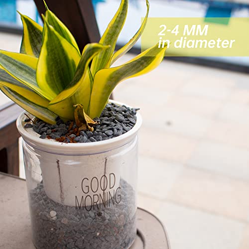 3lb Black Cactus Pea Gravel Rocks,1/4 Inch Pebbles for Indoor Plants, Natural Succulent Rock and River Rocks Decorative for Aquariums, Vases, Outdoor Gardening, Top Dressing for Potted Plants - color: Black Galaxy, size: 3LB