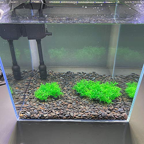 Aquarium Plant Fish Tank Decoration 20 Pieces Small/1" Tall Plastic Artificial Plant Goldfish Hidden Mini Grass Set (Green-A) - color: Green-a