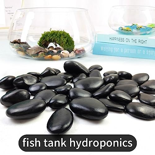Natural Black River Rocks - 2-3 inch 5LB High Polished Decorative Pebbles, Black Stones for Landscaping, Natural River Rocks for Outdoor Décor, Polished Pebbles for Plants. - size: 5LB, style: Black