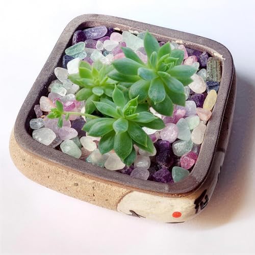 Aquarium Gravel,Rocks for Plants Indoor,0.44lb Fluorite Aquarium Gravel Rocks,Crystal Chips Stone Crushed Quartz for Crafts, Vases Filler, Succulent Plants, Aquarium Gravel Rocks (Fluorite) - color: Fluorite