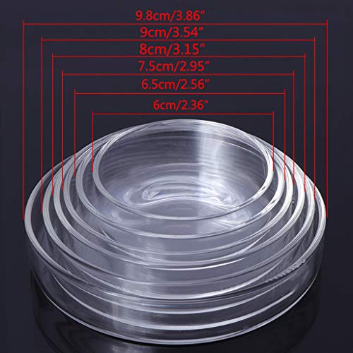 Shrimp Feeder Glass Feeding Dish Aquarium Fish For Tank Reptiles Round Clear Food Bowl 6cm-9.8cm Transparent Modern Floating Design Fish Feeder Feeding Dish