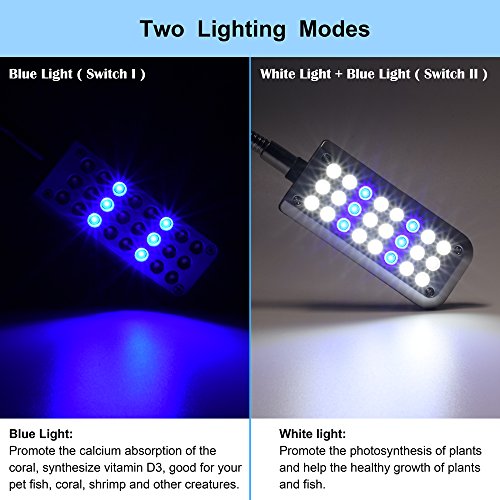 DaToo Aquarium Light Small LED Clip Light for Fish Tank, 1 Yr Warranty - size: 1.5W (Without Timer & Dimmer)