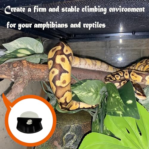 Branch Supports with Suction Cup for Gecko,Frog,Amphibian Lizard Snake Jumping Spider Climbing, Black Branch Holder for Reptile Terrarium Tank