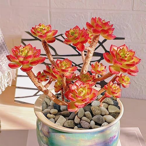 20LB Aquarium Gravel, 1/4" Pea Gravel for Fish Tank, Small River Rocks for Garden Decoration, Landscaping, Vase Filling, Flower Pot Paving(4-8MM) - size: 20LB, style: 4-8MM