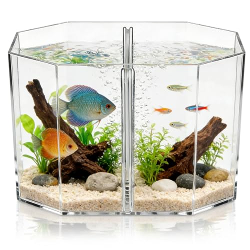 Milisten Octagon Betta Fish Tank, Clear Acrylic Desktop Aquarium with Removable Divider, 2 Compartment Breeding Isolation Box for Small Tropical Guppy Fry