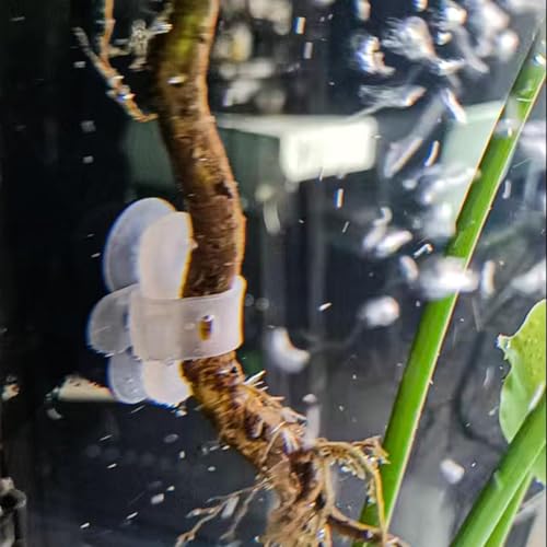 Aquarium Zip Ties, Suction Cups, Fish Tank Decoration Products, Water Pipes, air Pipes, Landscaping Fixing Clips (Black 5pcs)