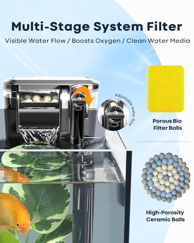 Wonderfactory 5 Gallon Small Aquarium Set Glass Fish Tank 6 Gallon, Starter Kit with Heater Water Pump Cleaning System Filter Bright Light Rocks Gravel Cleaning Tool, Clear Rimless Betta Plants - size: 5 Gallon