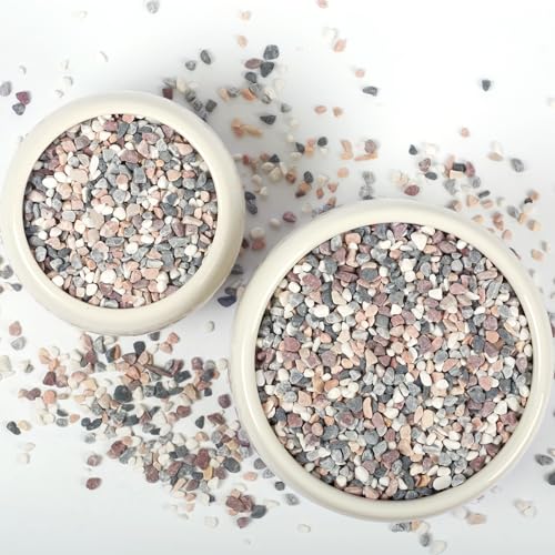 5lbs Natural Gravel Pebbles for Succulents and Cacti, 1/5 Inch Decorative River Stones – Perfect for Vases, Aquariums, Terrariums, and Outdoor Gardening, Mixed Colors (Mixed, 5 Pounds) - color: Mixed, size: 5 Pounds